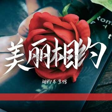 相约spaSpa点评网