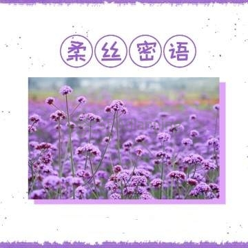 柔丝密语Spa点评网