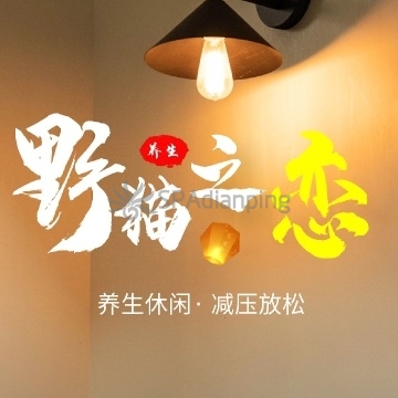 野猫之恋Spa点评网