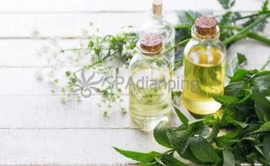 北京好的SPA店推荐哪些人可以体验