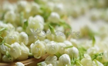 北京思足体验网告诉大家哪些药是有危害的