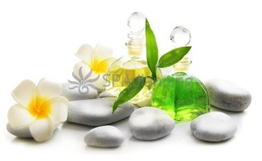 北京水疗SPA会所和您分享咖啡的养生功效