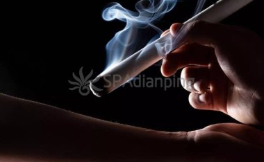 北京个人养生工作室中的艾草熏蒸有什么作用