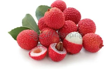 荔枝虽然养生又好吃,但北京思足点评网建议大家不要暴食