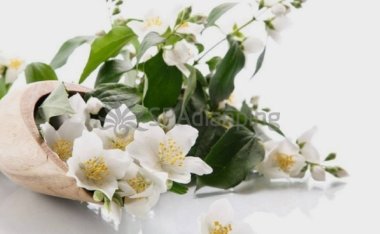 北京个人家庭式按摩保健馆帮你寻找失去的良好睡眠