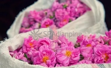 北京私人养生个人工作室带你来看腰部按摩的讲究