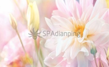 北京男士养生会所带你看看最常见的护肾方法