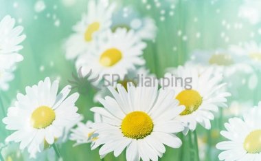 脾胃虚弱的男士,北京朝阳养生馆建议大家看看是否有这些习惯