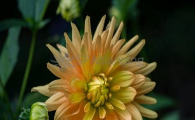 湿气和湿寒怎么区分?北京私人养生个人工作室来教你