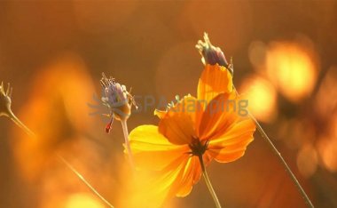 牛奶加红糖,北京体验养生会所提醒你千万别这样喝