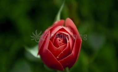 北京丝袜会所到底正不正规