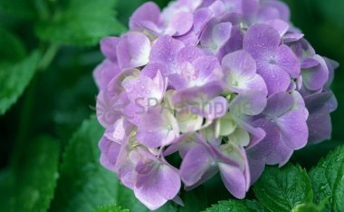 北京男士养生会馆带你看看年轻人的养生观