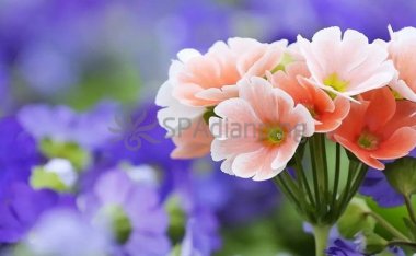 北京保健为什么推崇足疗按摩