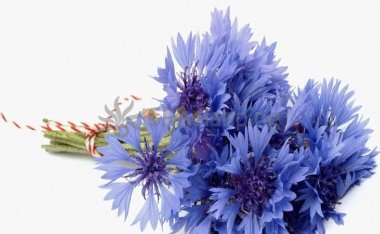 上班族久坐适当的进行保健按摩-北京养生按摩网