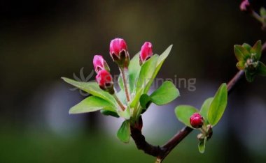 北京养生个人工作室教你如何按摩排毒