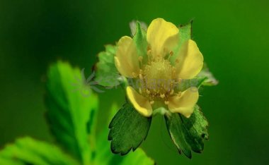 长期失眠怎么办?北京家庭式保健按摩馆帮你补救!