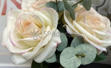 北京个人养生工作室发现这些方法可有效预防心血管疾病