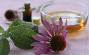 这些春护肤知识,北京SPA点评网希望你了解