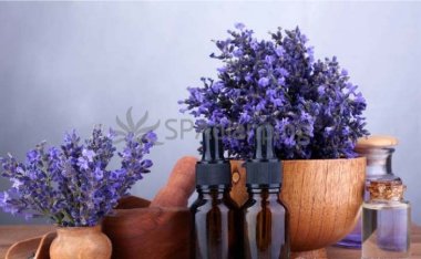 春季养生按摩脚部好处多-北京昌平区SPA养生馆