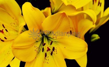 北京养生网和大家分享颈椎病的的缓解方法