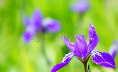 北京养生点评网和大家分享预防低血糖的方法