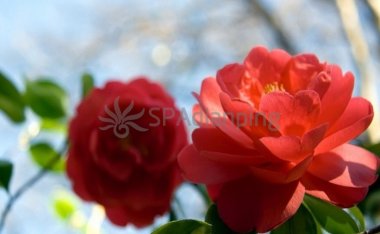 北京按摩服务的种类和区别都是什么