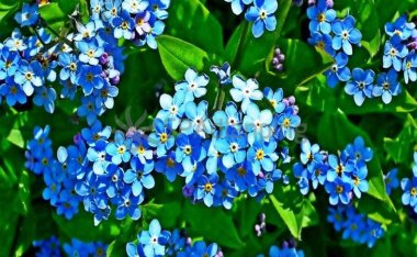 北京养生网告诉大家春季锻炼应该注意什么