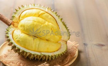 北京朝阳区养生SPA馆教你选榴莲的方法