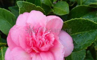 北京夜生活的KTV陪唱有什么样的服务