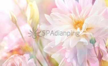 北京养生会所哪些潜规则是不被允许的