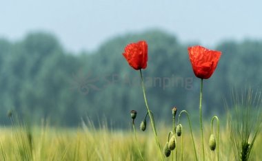 北京洗浴按摩中心都有什么样的服务