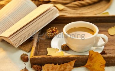 北京夜场里的公主有什么好的服务项目