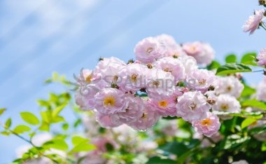 为什么北京家庭式养生馆日渐增多而丝袜减压却在消失