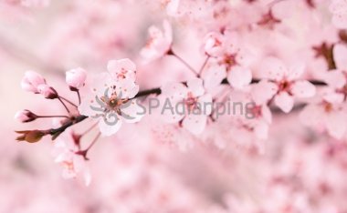 北京养生会所有什么样的服务内容