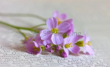 如何沉浸式地体验北京个人SPA工作室带来的完美体验