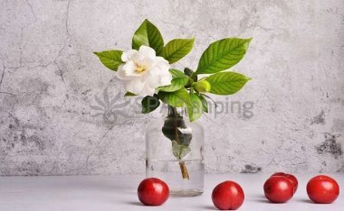 北京按摩工作室-专业手法注入身体能量,释放压力