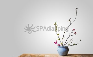 北京家庭式养生馆安全吗?应该注意什么