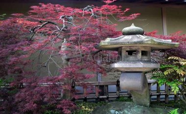 你真的知道什么是家庭式spa么?带你了解真正的Home spa!