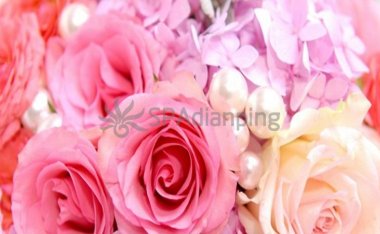 北京个人养生工作室和北京家庭式养生馆有什么区别