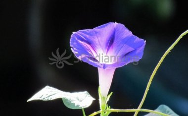 北京洗浴中心:打造舒适健康的身心体验