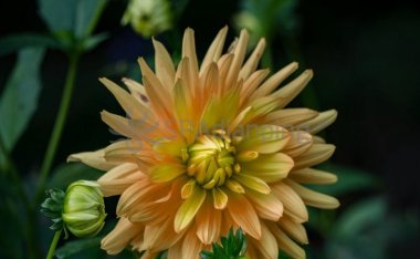 在选择北京养生SPA会所时技师的技术和颜值哪个更重要