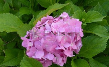 北京SPA网提醒你做护理的时候要注意什么