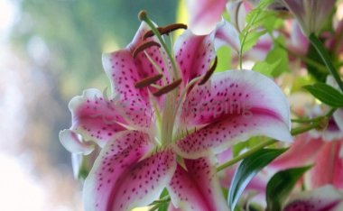 年轻人亚健康可以调理–北京个人按摩工作室