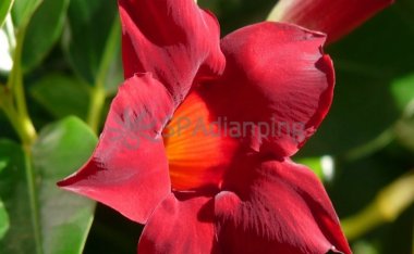 北京养生让你放松身心,护理健康