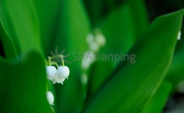 北京朝阳区东坝附近足部按摩店有什么特色