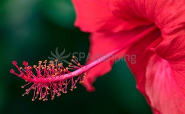 北京SPA点评网上的商家有哪些是靠谱的