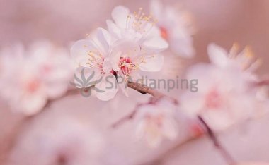 北京养生要注意什么,具体怎么做