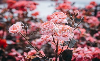 北京青年路家庭式会所,带你重新认识关于SPA的知识