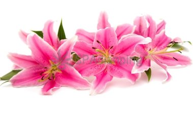 北京足疗按摩:专业足部护理,呵护你的健康