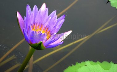 北京洗浴中心:让您身心舒畅的全方位水疗场所